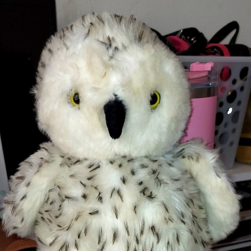 Build A Bear Owl